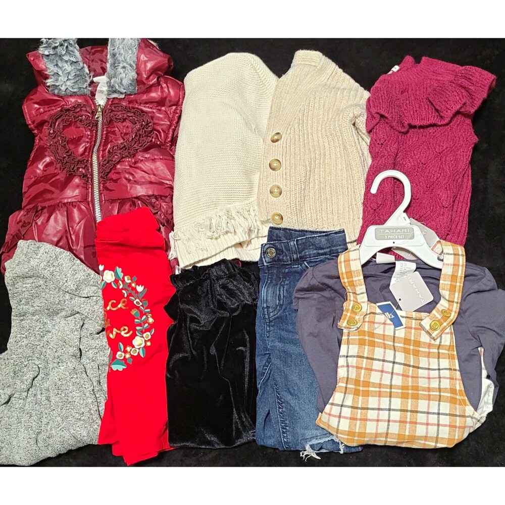 Toddler Girls Size 3T Fall Winter Bundle Mixed Brands